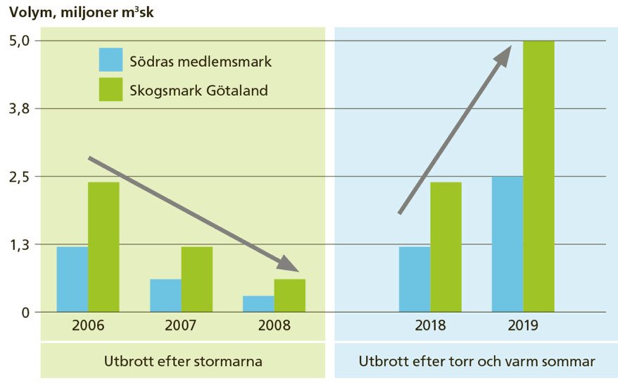 vädret sommaren 2020