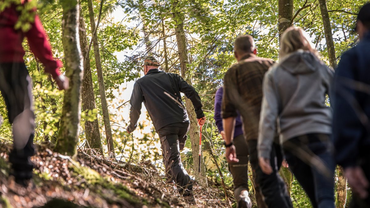 Människor på promenad i lövskog. Man ser människorna bakifrån. Längst bort går man med gröna kläder. Efter honom några peroner. Uppfrösbacke. Till vänster skymtar person med röd tjöja. Soligt. Försommar.