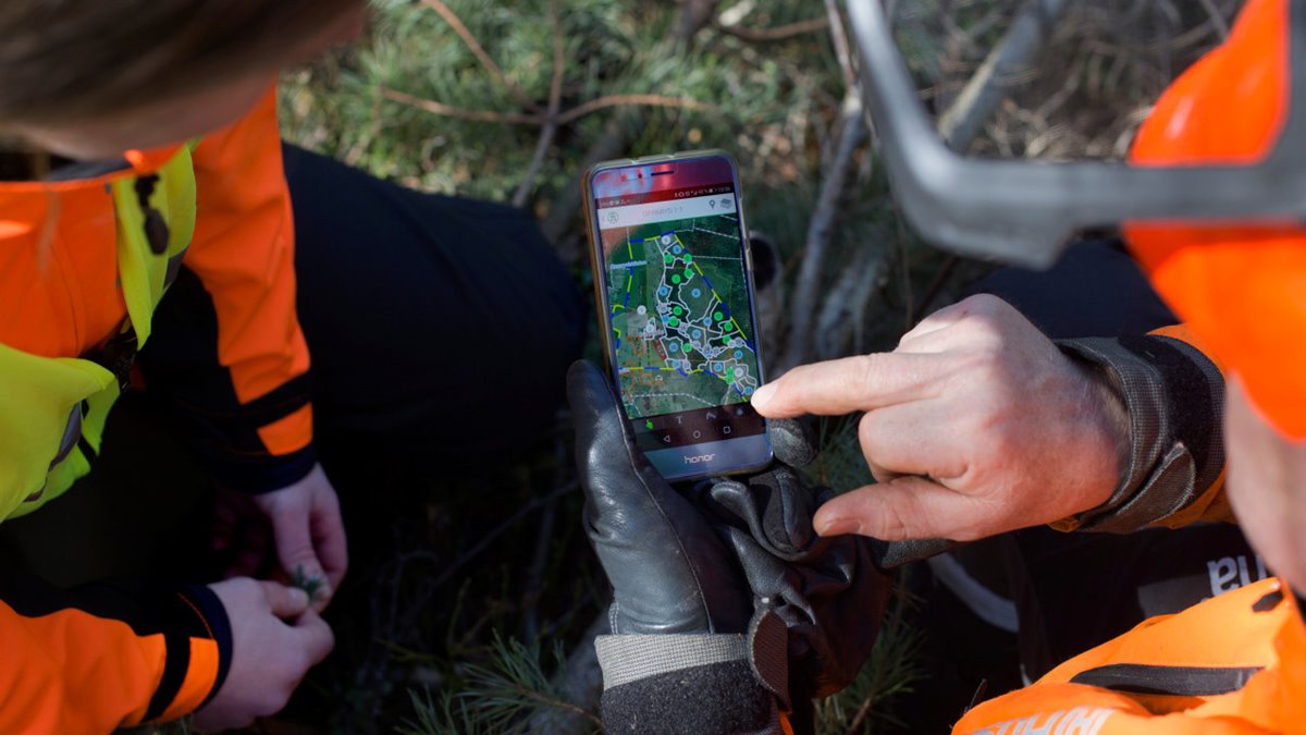 Två människor med orange skyddskläder. Mannen till höger håller smartphone i handen och pekar med fingret på skärmen som visar karta från en grön skogsbruksplan. Bilden är tagen ovanifrån och människorna skymtar bara vid sidorna.