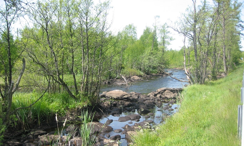 Natur, vatten, vattendrag Skogens vatten Natur, vatten, vattendrag Skogens vatten