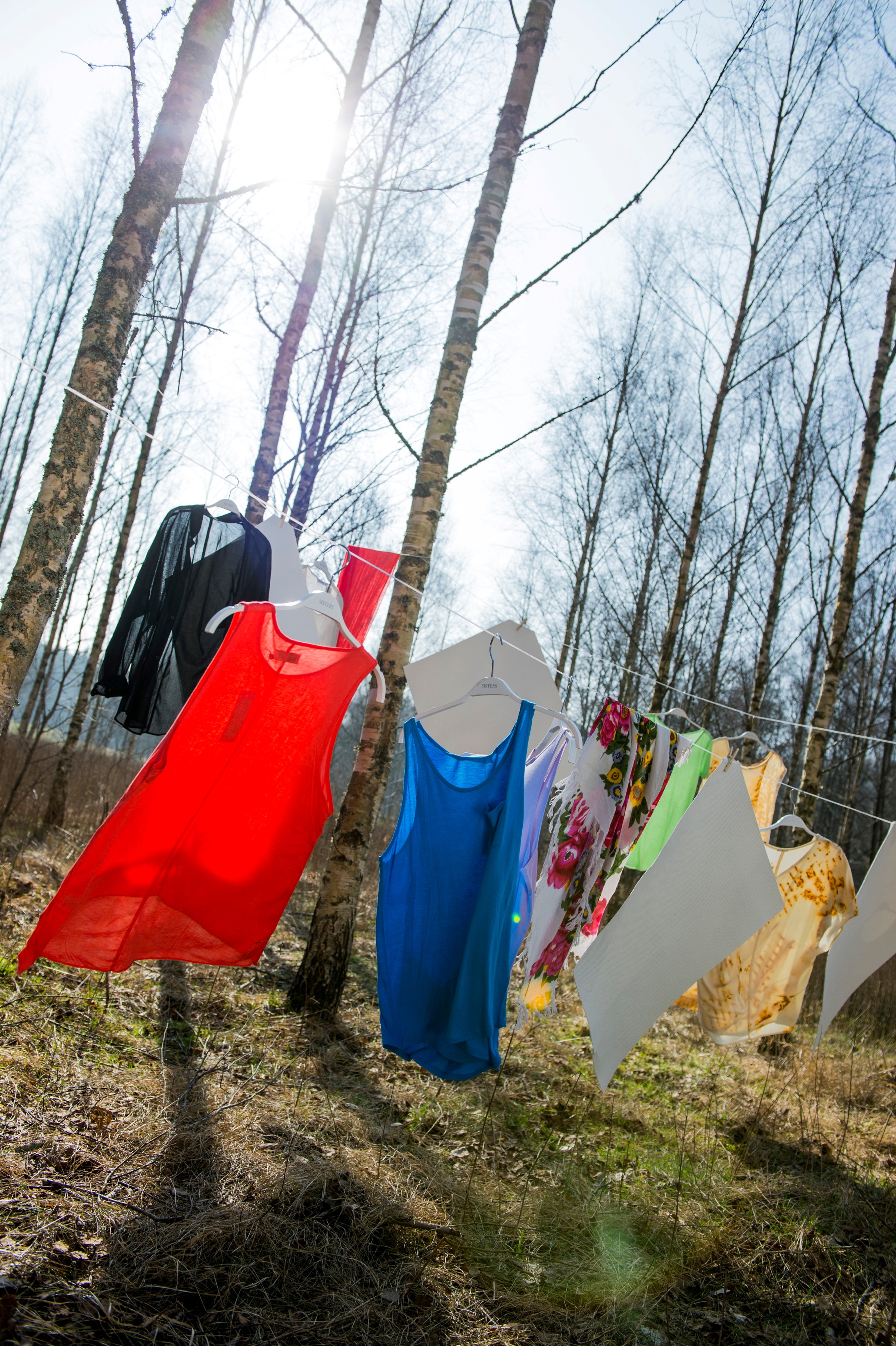 Kläder av dissolving hänger i björkträd.