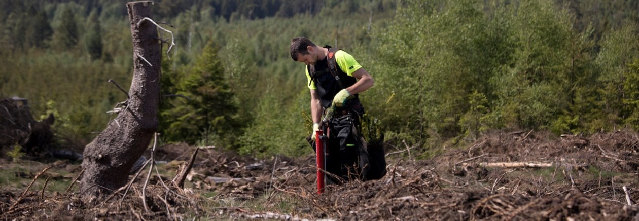 hygge, man planterar med planteringsrör