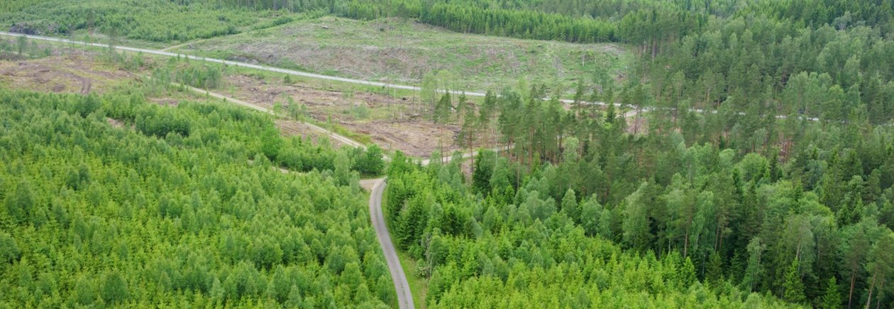 flygbild över olika skogsområden