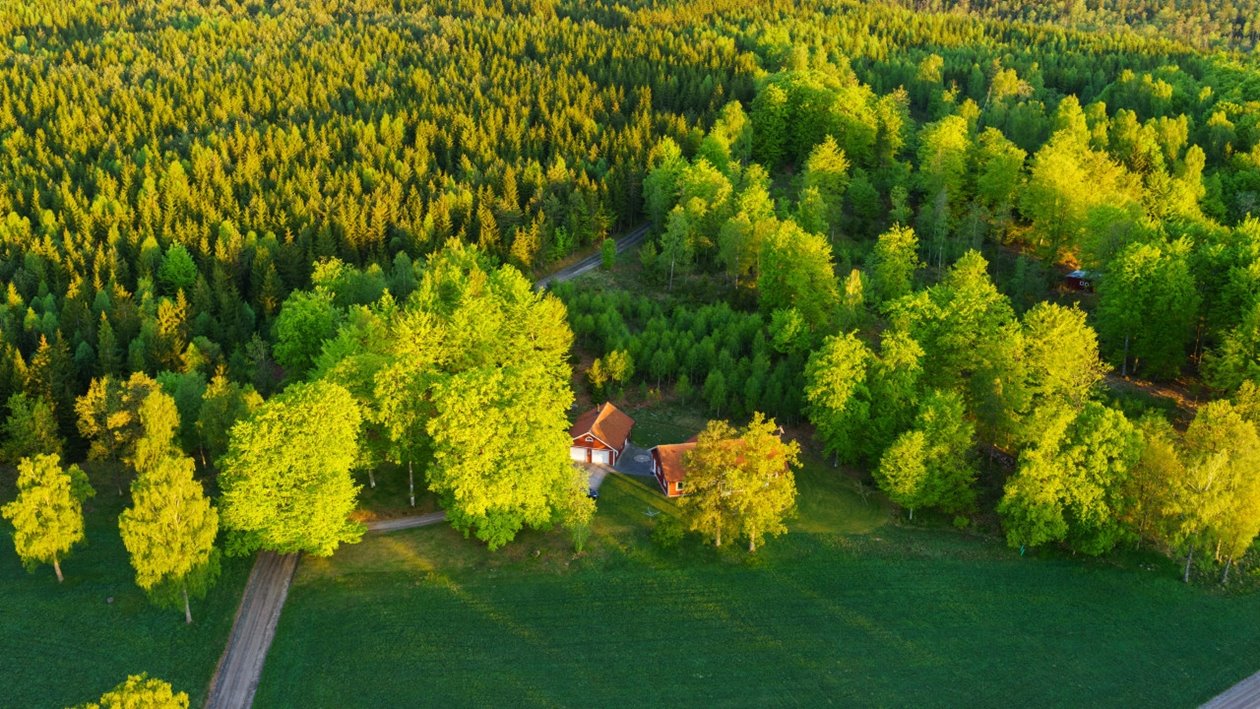 Hult, Odensjö, Kronobergs län. Ägare Conny och Roger Eliasson. Tfn0372378310
SWEREF99 TM
    6299770.297, 414978.694 Skog i Odensjö i Småland