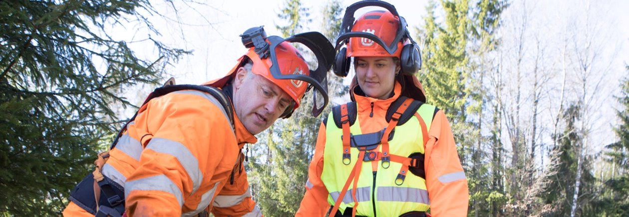 Röjning av skog av Södra-medlemmen Karl-Eric Johansson och dottern Ellen Johansson.  Jusetering och inställning av sele och såg.