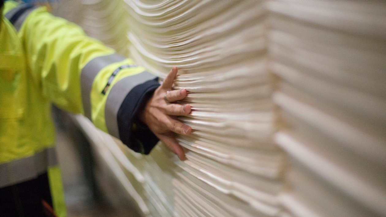 En medarbetare inspekterar massa vid Södra Cell Värö

An employee inspecting some sheets of pulp at Södra Cell Värö
