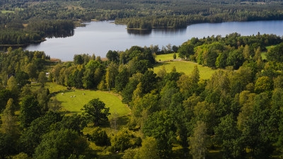 Sjö, skog, södra