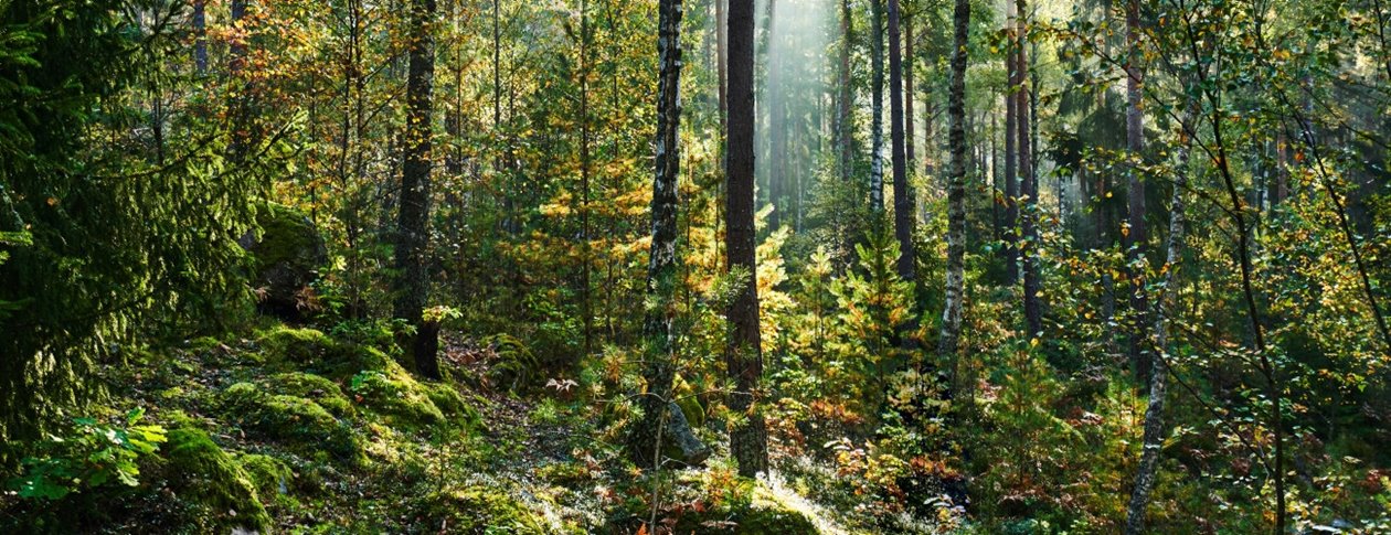 EPD klimatdeklaration 