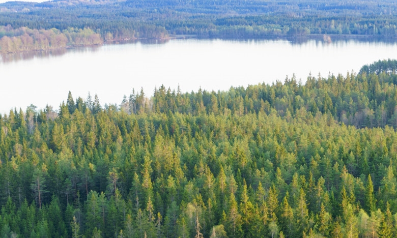 Sjöbo, Åsenhöga. SWEREF99 TM
    6364004.51, 430080.851. Ägare Börje Svensson, Slätthult. 0705597187