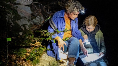 Upplev skogen på natten