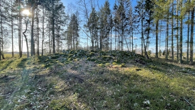 Skogens kulturarv