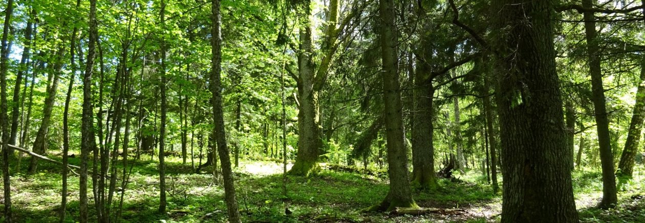 Biotopi