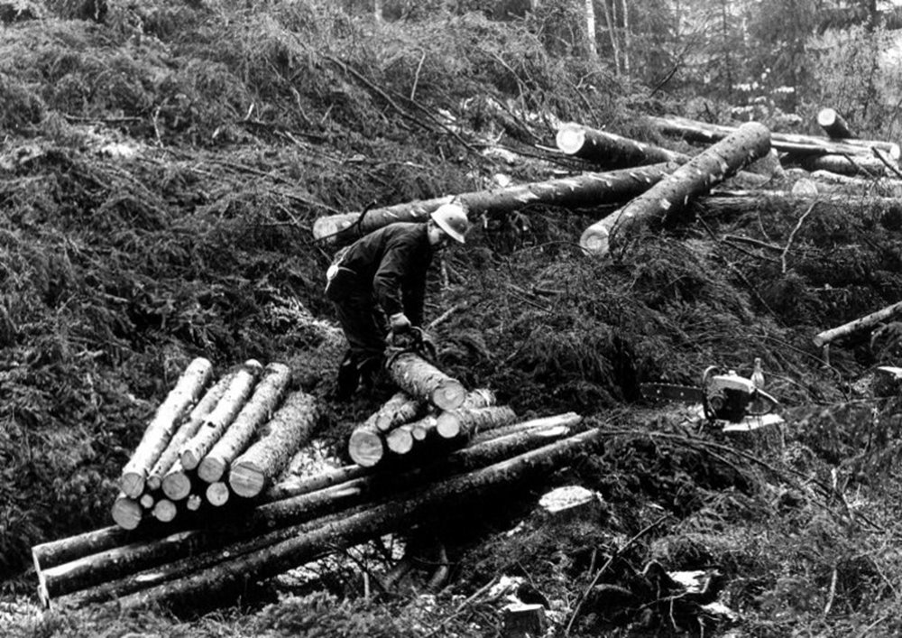 Skogsvårdslagen, man i skogen