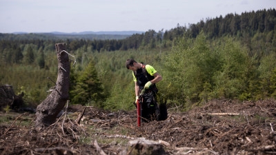 hygge, man planterar med planteringsrör