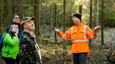 Södraskolan i skogen