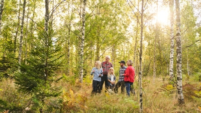Familjeskogsbrukare