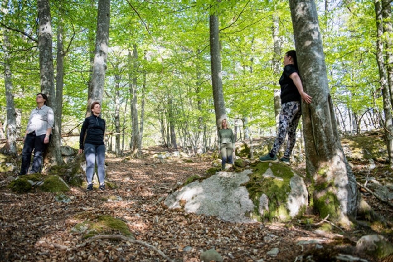 Skogsbad - ett sinnligt dopp i grönskan. Bilder till artikel i serien Den hälsosamma skogen.