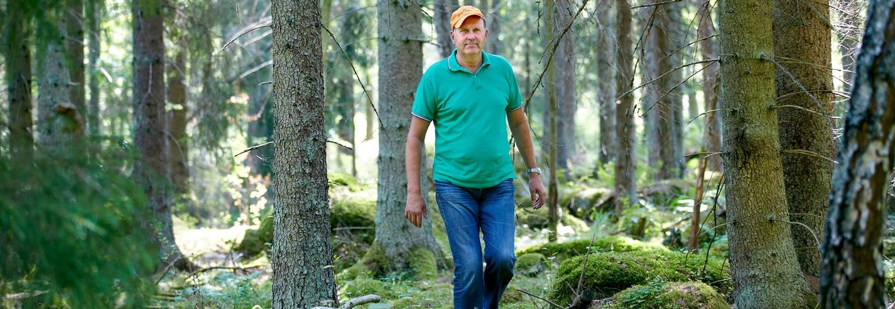 Christer Segerstéen