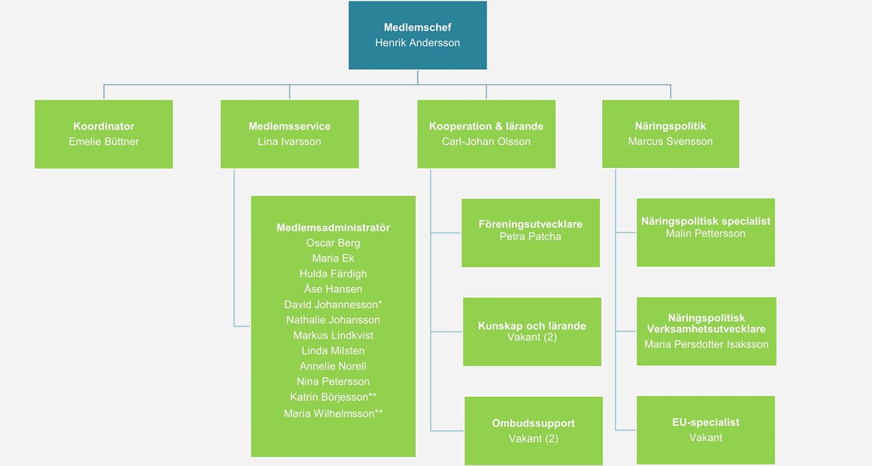 Organisationsschema Medlem