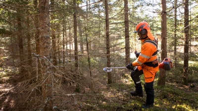 Röjning av skog av Södra-medlemmen Karl-Eric Johansson