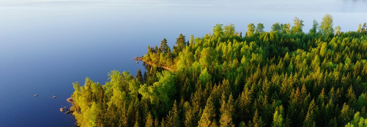 Hult, Odensjö, Kronobergs län. Ägare Conny och Roger Eliasson. Tfn0372378310
SWEREF99 TM
6299770.297, 414978.694 Skog i Odensjö i Småland