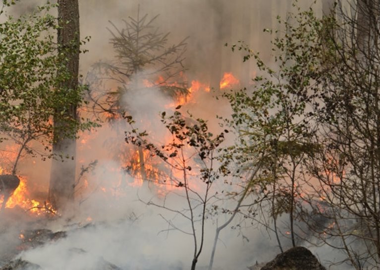 Eld och tät rök vid naturvårdsbränning i Klenemåla
