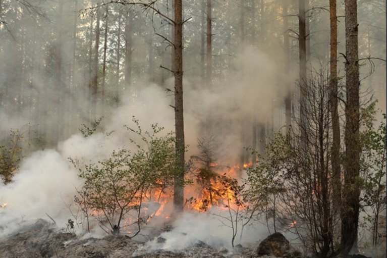 Eld och tät rök vid naturvårdsbränning i Klenemåla