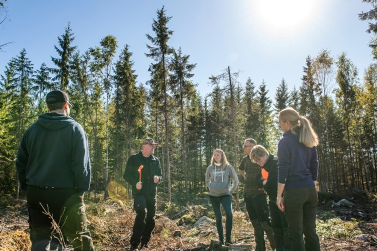 Södraskolan