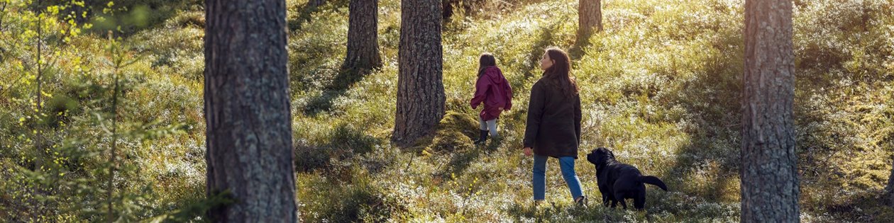 Barn mamma och hund är ute och går i skogen