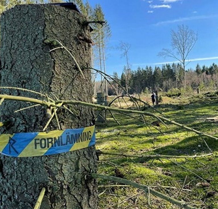 Kulturstubbe. Fornlämning.