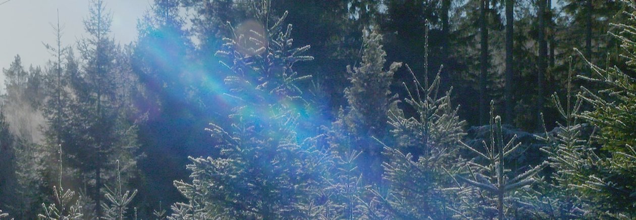 Julgransskola med Södramedlemmen Bengt "Månen" Karlsson, Valdermarsvik, december 2018.