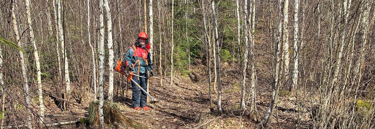 Marie Larsson röjer i sin skog.