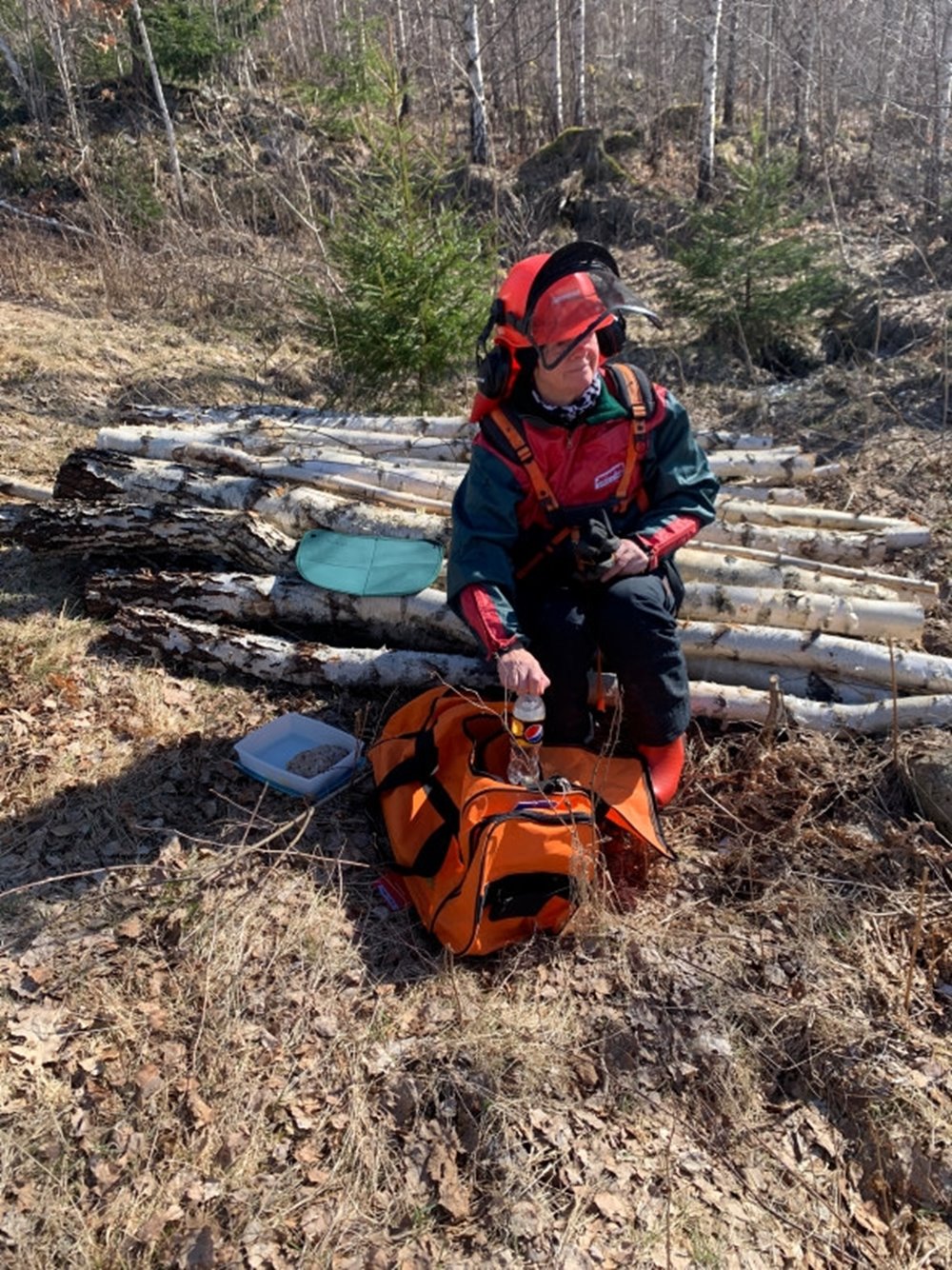 Marie Larsson röjer i sin skog.