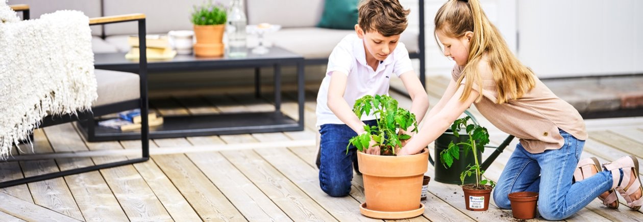 Barn planterar tomatplanta i kruka på trallgolv altan i bakgrunden vitmålad ytterpanel CMP
Children planting a tomato plant in a pot on a wooden deck with white, pre-painted cladding in the background CMP