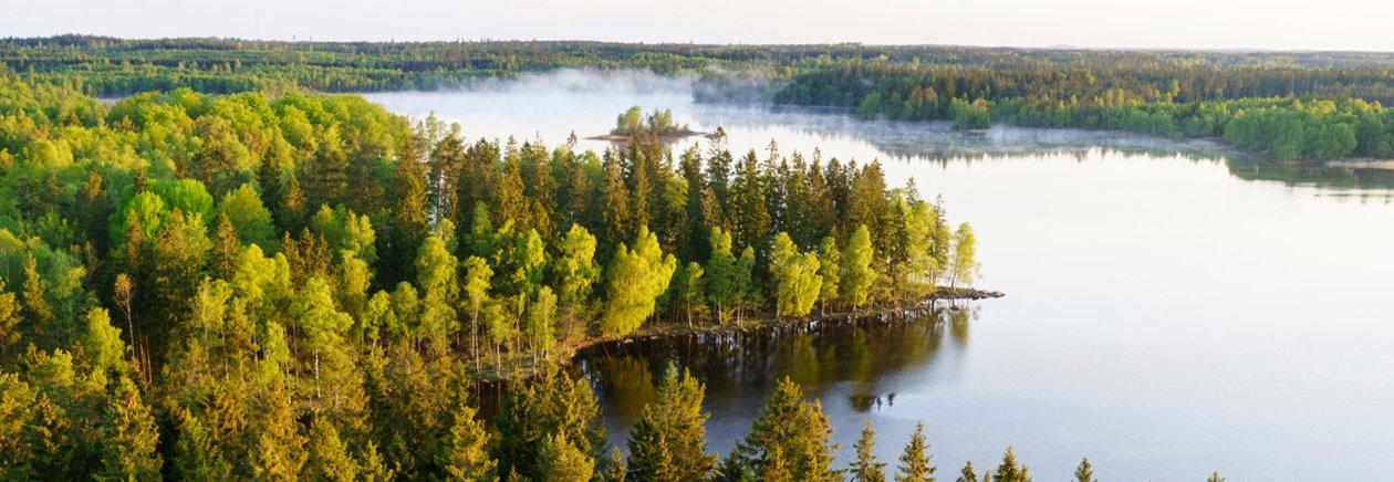 Hult, Odensjö, Kronobergs län. Ägare Conny och Roger Eliasson. Tfn0372378310
SWEREF99 TM
6299770.297, 414978.694 Skog i Odensjö i Småland