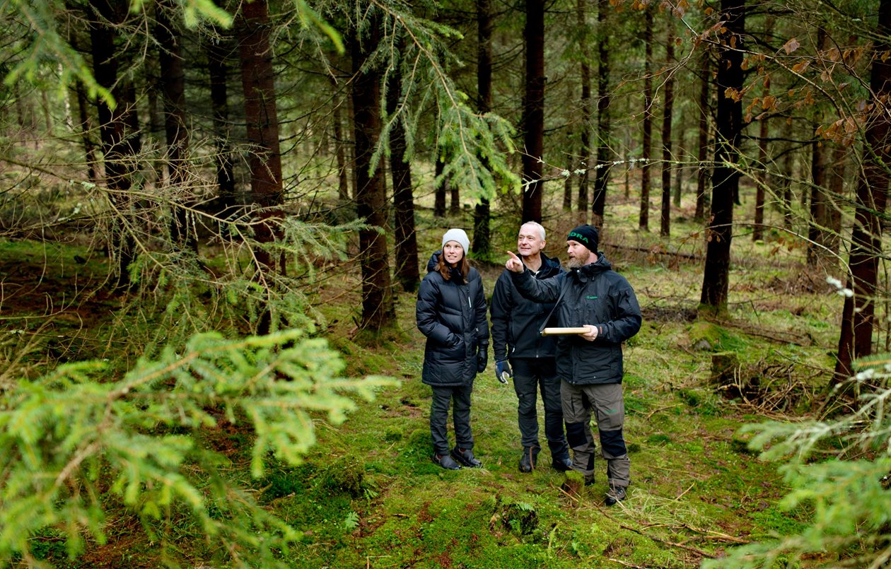 Matilda Wallemyr medlem , Peter Wallemyr medlem Hångsdala Hasslekärr och Peter Karlsson Skogsinspektor