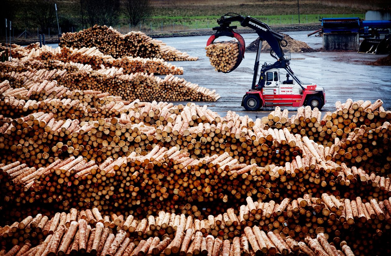 En timmertruck vid Södra Wood Värös timmerlager
A log stacker working in the timber yard at Södra Wood Värö.
