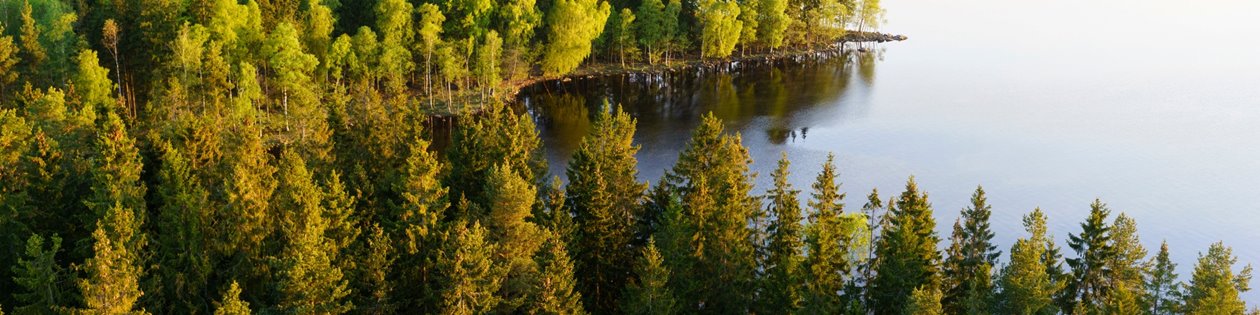 Hult, Odensjö, Kronobergs län. Ägare Conny och Roger Eliasson. Tfn0372378310
SWEREF99 TM
6299770.297, 414978.694 Skog i Odensjö i Småland