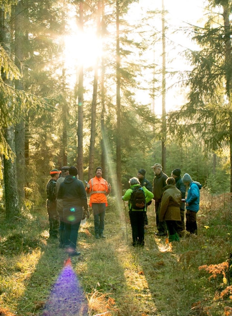 Södraskolan . Grundkurs för skogsägare i skogen utanför Vara. Kursledaren Lars Nilsson i Orangejacka