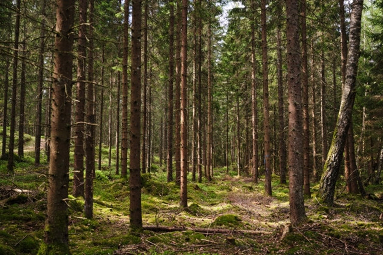 Foto på Mats Helge och Agneta Helge, samt deras fastighet i Sännås Höjden Smålandsstenar