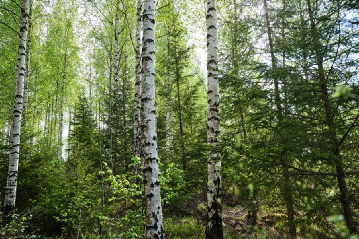 Foto på Mats Helge och Agneta Helge, samt deras fastighet i Sännås Höjden Smålandsstenar