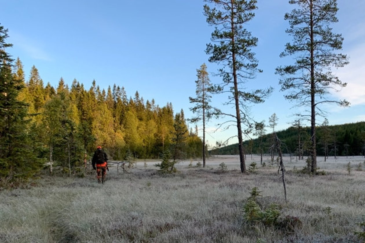Hösten skördetid