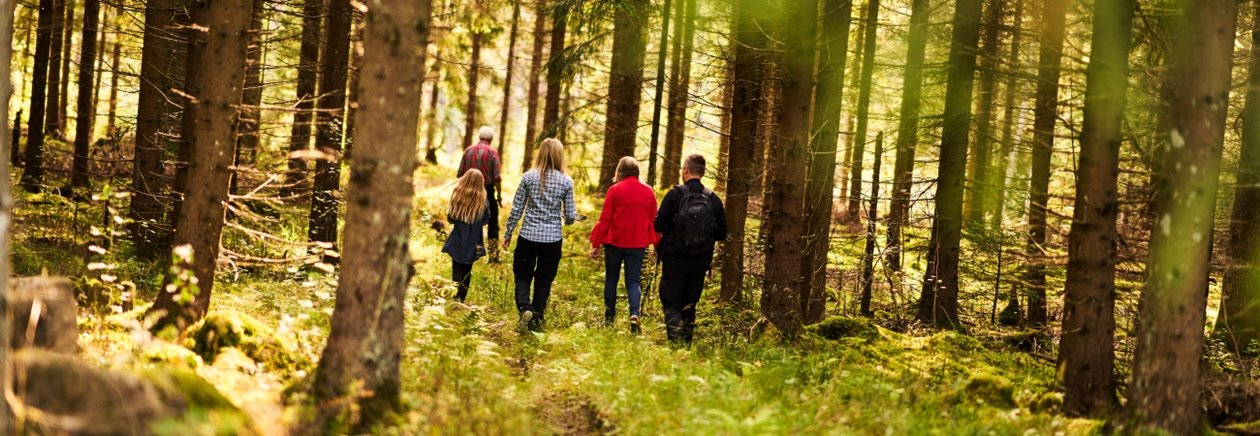 Skogsinspektor medlem 2020.
Från vänster Ava Houlihan-Burne (statist), skogsinspektor Åsa Andersson, Katarina Carlsson, Joakim Carlsson, längst fram Ingemar Levinsson.