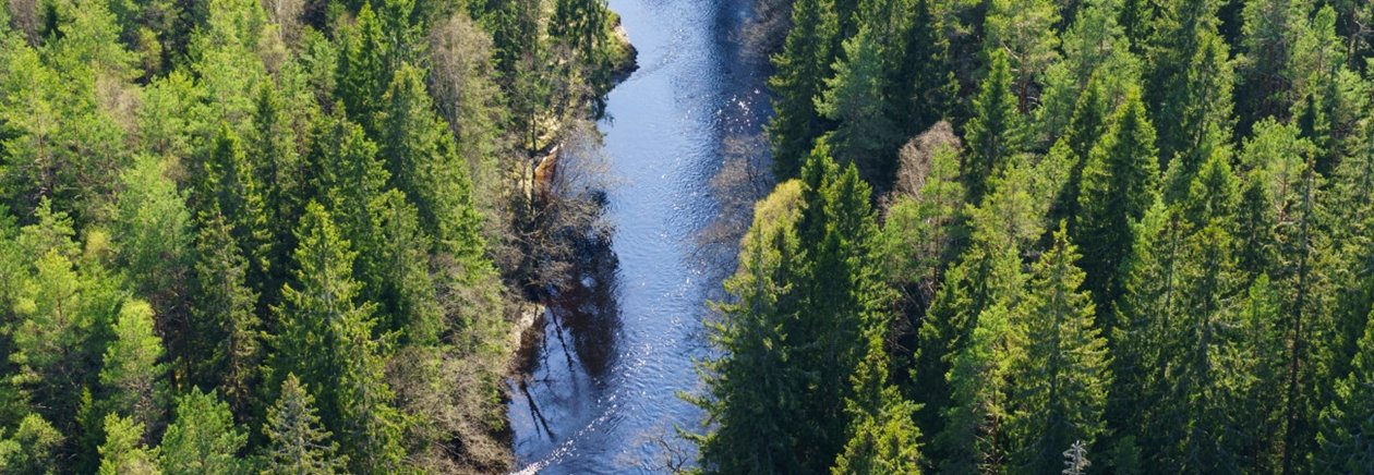 SWEREF99 TM
6375034.727, 421293.169. Ägare Dick Stagmo.