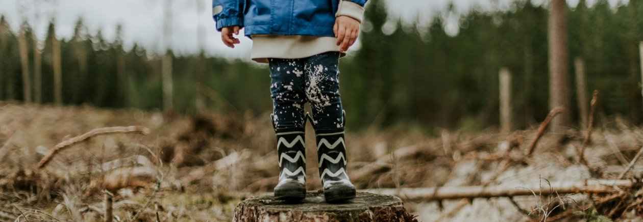 Unsplash, gratisbild - Från ett träd växer tusen möjligheter