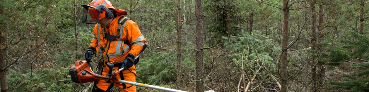 Röjning av skog av Södra-medlemmen Karl-Eric Johansson och dottern Ellen Johansson. Slutröjning i tallungskog