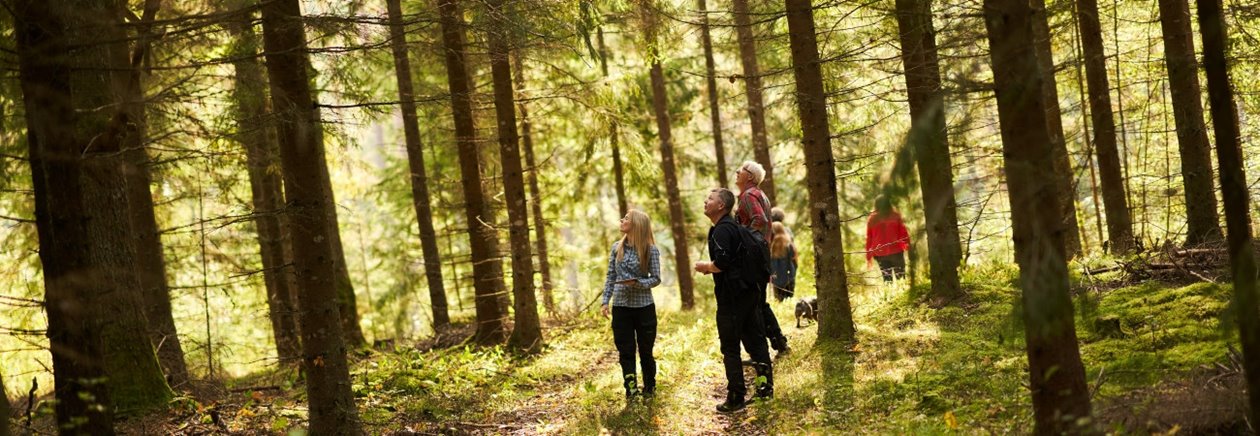 Skogsinspektor medlem 2020. Från vänster skogsinspektor Åsa Andersson, Joakim Carlsson, Ingemar Levinsson.