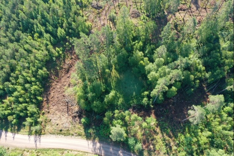 Vid avverkning i anslutning till det lilla kärret har en skyddszon med lövträd lämnats runt om. Kantzonen bevarar kärret som en fuktig och skuggig miljö, och skyddar därmed de arter som finns där.