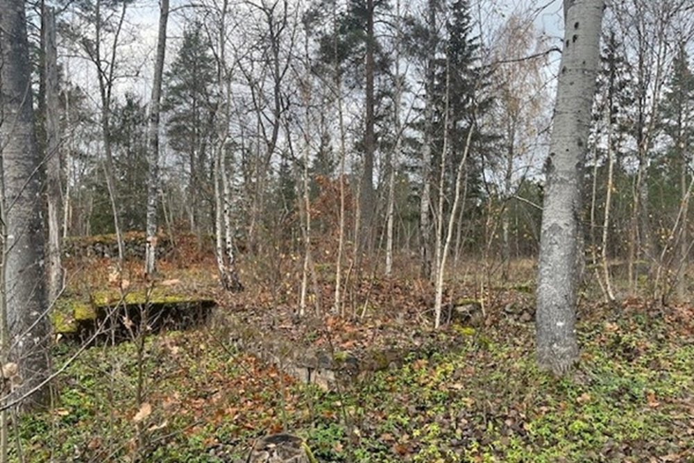 En husgrund som är igenvuxen med sly. Träden försvårar för oss att se lämningen och kommer att skada den genom rotsprängning och så småningom orsaka skador om de blåser ner. Här ska alla träd på lämningen bort. Vid slutavverkning tas alla träd inom 2-5 meter från lämningen bort för att inte riskera vindfällen.