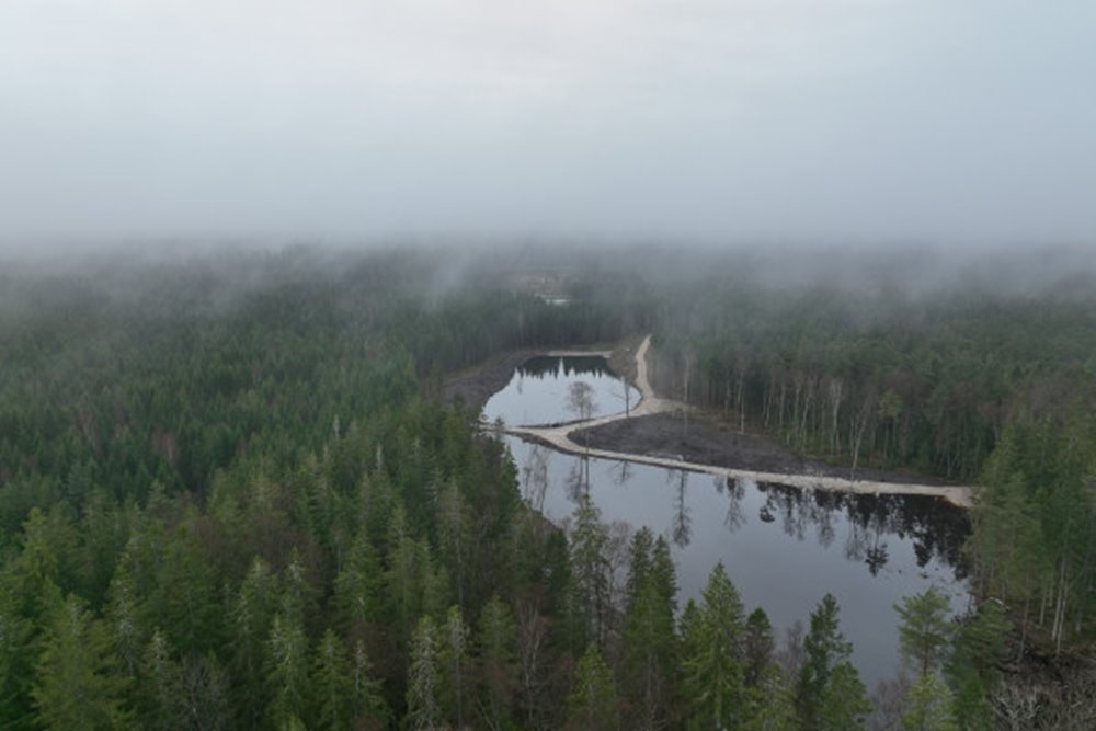 Våtmark